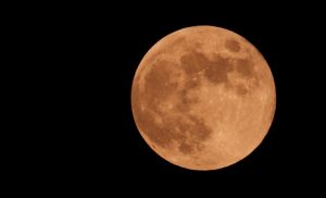 神秘的な月の満ち欠けとヨガの関係。月にまつわるポーズもご紹介！
